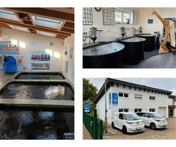 3 Bilder Halle
